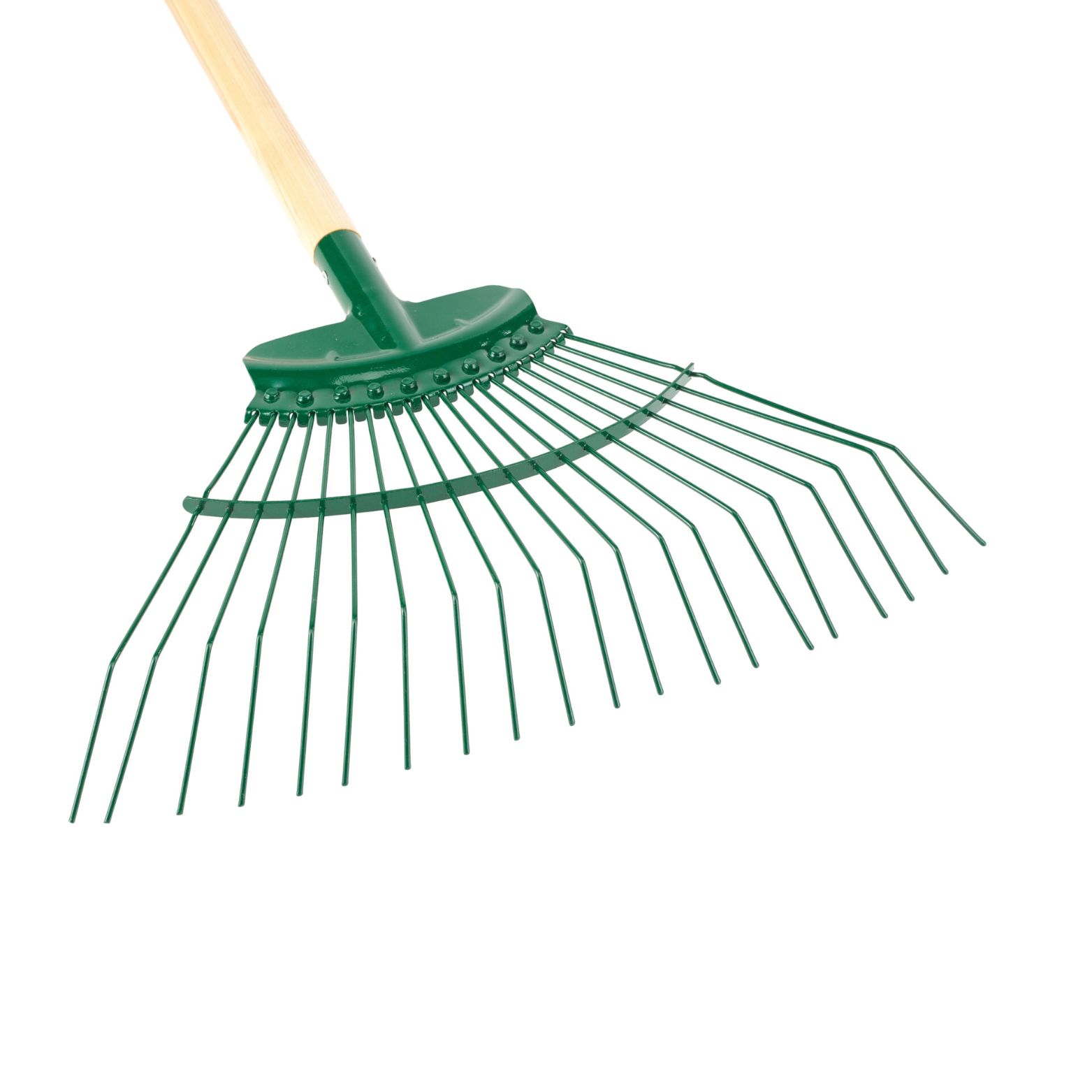 Râteau de jardin professionnel à 20 dents en acier à ressort avec manche en frêne