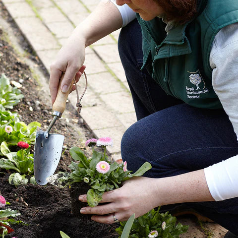 Transplantoir à main en acier inoxydable à lame profonde, avec manche en bois dur pour le jardinage