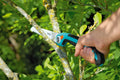 Scie pliable de jardinier lame 200 mm outil de jardinage à main compact et pliable