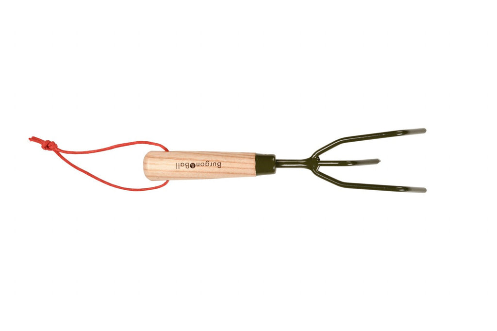 Cultivateur à main Boron Green Claw pour l'aération du sol
