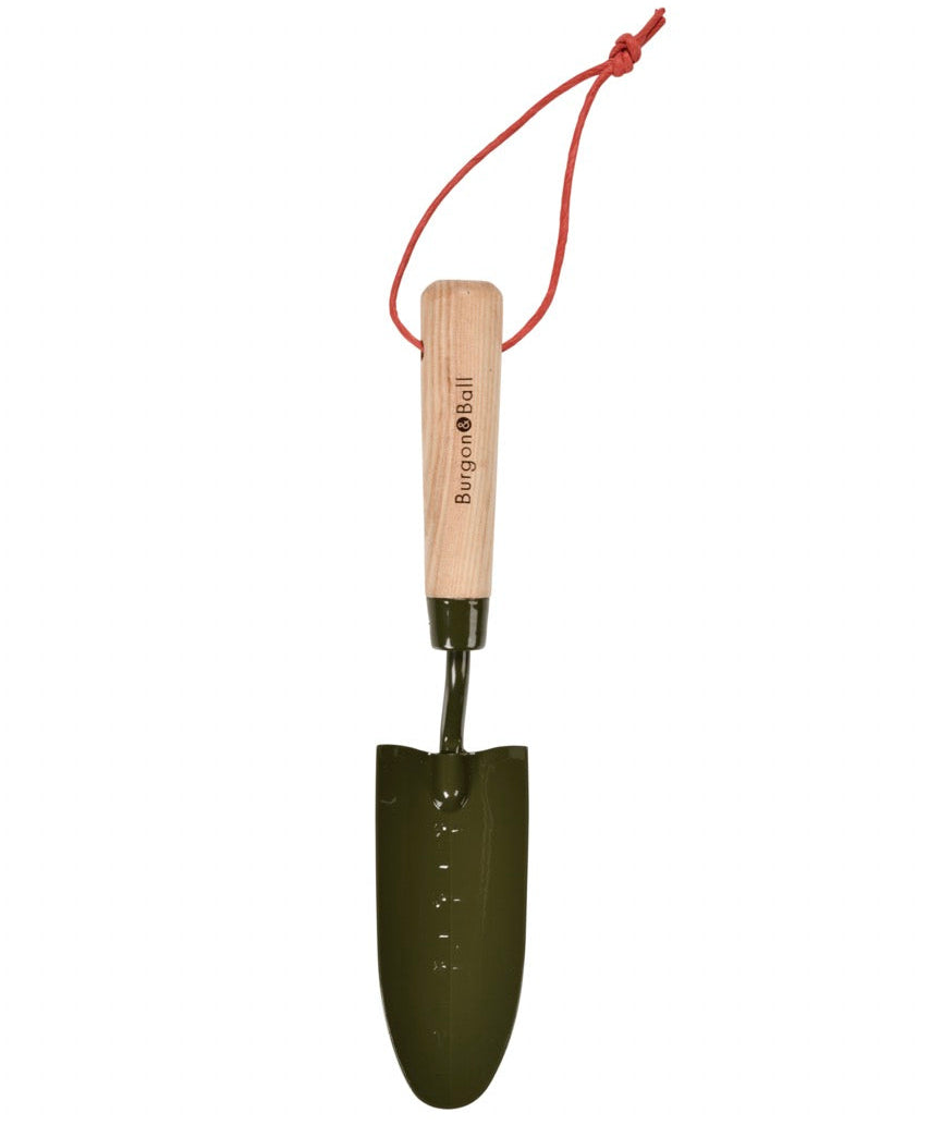 Transplantoir tête en acier inoxydable, manche en bois dur, vert