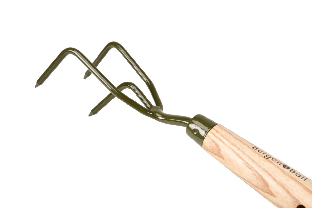 Cultivateur à main Boron Green Claw pour l'aération du sol